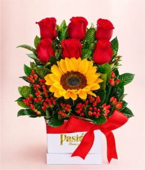 BOX BLOOM