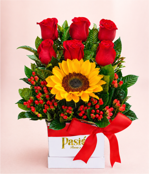 BOX BLOOM