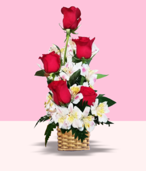 CANASTA DULCE TENTACIÓN