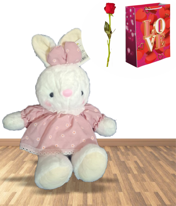 CONEJITA CON VESTIDO