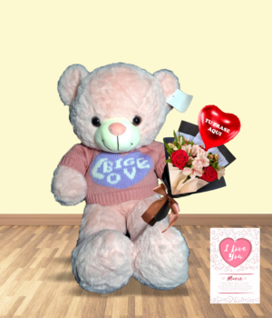 OSO 60 CM 1 OSITO CLÁSICO CON POLO