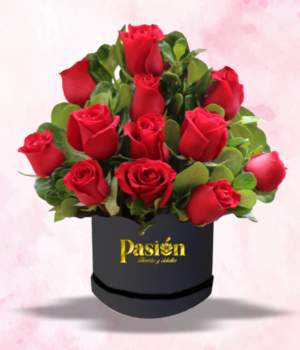 BOX PETALOS DEL ALMA