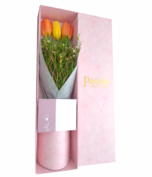 caja 3 tulipanes CAJA DE 3 TULIPANES