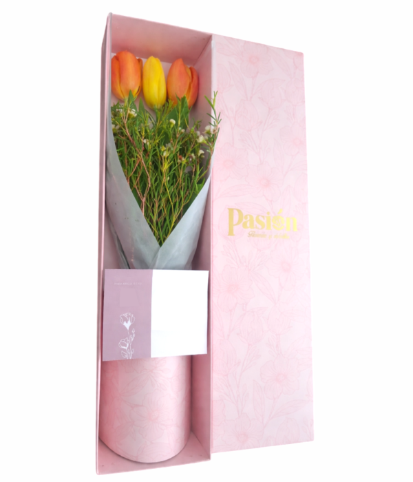 CAJA DE 3 TULIPANES