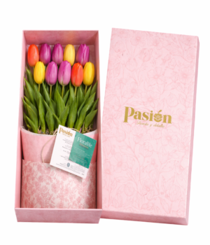 CAJA DE 10 TULIPANES