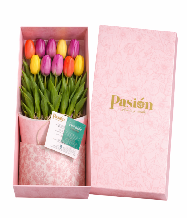 CAJA DE 10 TULIPANES