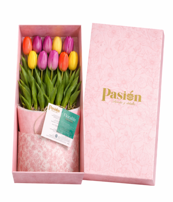 CAJA DE 10 TULIPANES