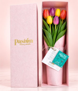 CAJA DE 6 TULIPANES