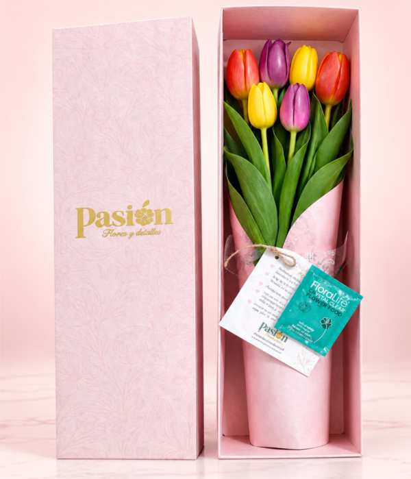 CAJA DE 6 TULIPANES