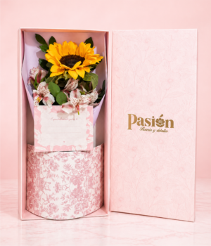 CAJA GIRASOL