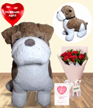 perro hector PERRO HECTOR