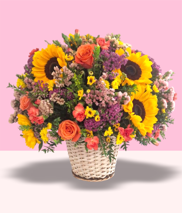 GRAN CESTO 360 DELUXE