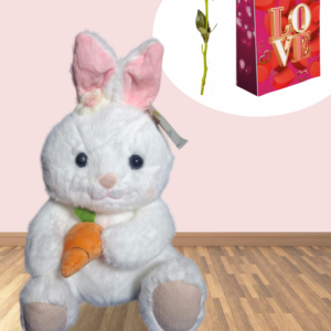 CONEJA CON ZANAHORIA