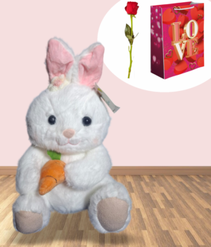 CONEJA CONZANAHORIA CONEJA CON ZANAHORIA