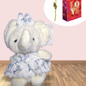 ELEFANTE CON VESTIDO