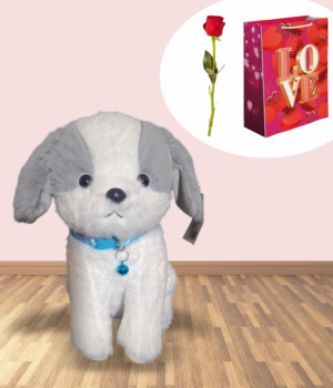 PERRO TACHI PERRITO CON COLLAR