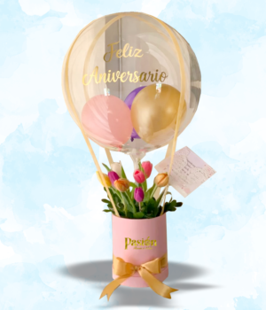 BOX ÉLITE ANIVERSARIO