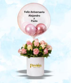 BOX GRAN MOMENTO ANIVERSARIO