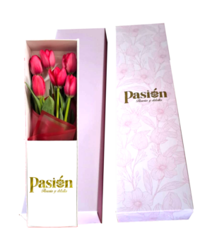 CAJA DE 6 TULIPANES