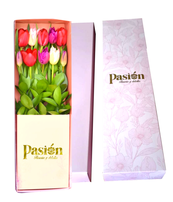 CAJA DE 10 TULIPANES
