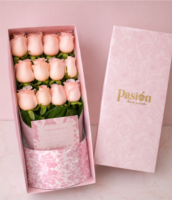 CAJA DE 12 ROSAS