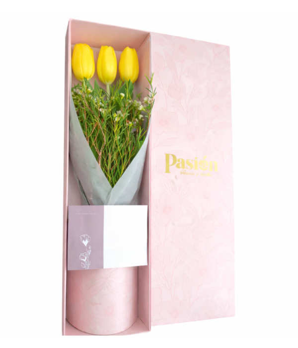 CAJA DE 3 TULIPANES