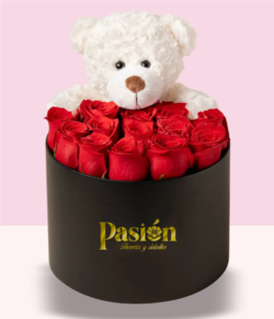 9 BOX TEDDY