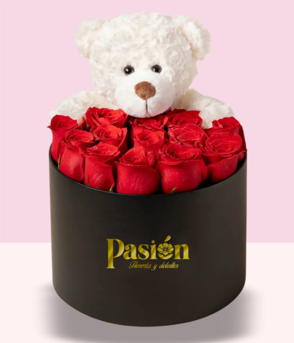 BOX TEDDY
