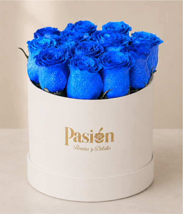 BOX BOOM AZUL