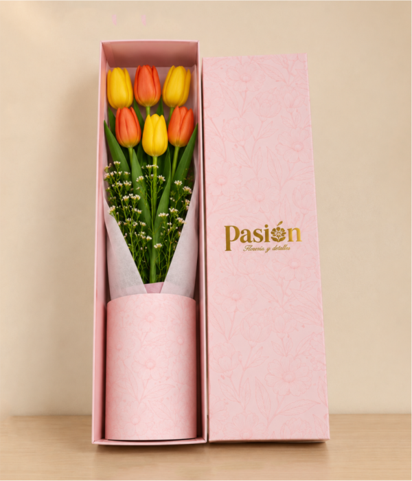 CAJA DE 6 TULIPANES